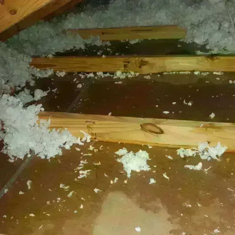 Attic Water Damage in Orchidlands Estates, HI